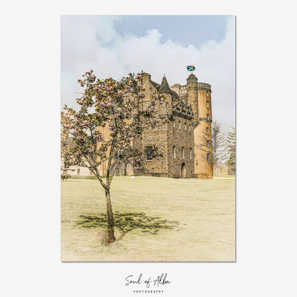 Fine art print of Castle Fraser in Aberdeenshire, Scotland, framed by a blossoming tree with historic Scottish baronial architecture and turrets.
