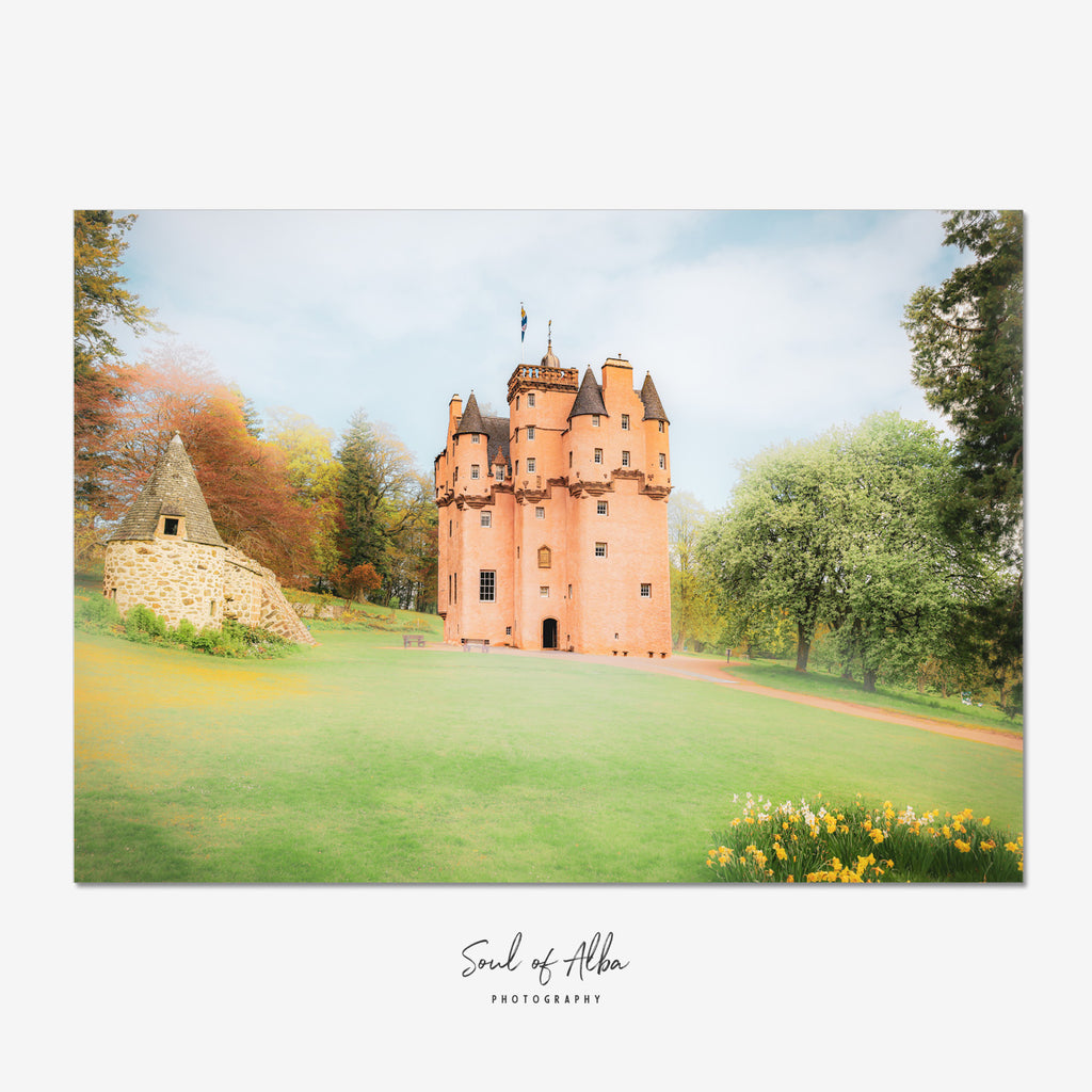Fine art photograph of Craigievar Castle in Aberdeenshire with pink towers, spring daffodils and landscaped grounds.