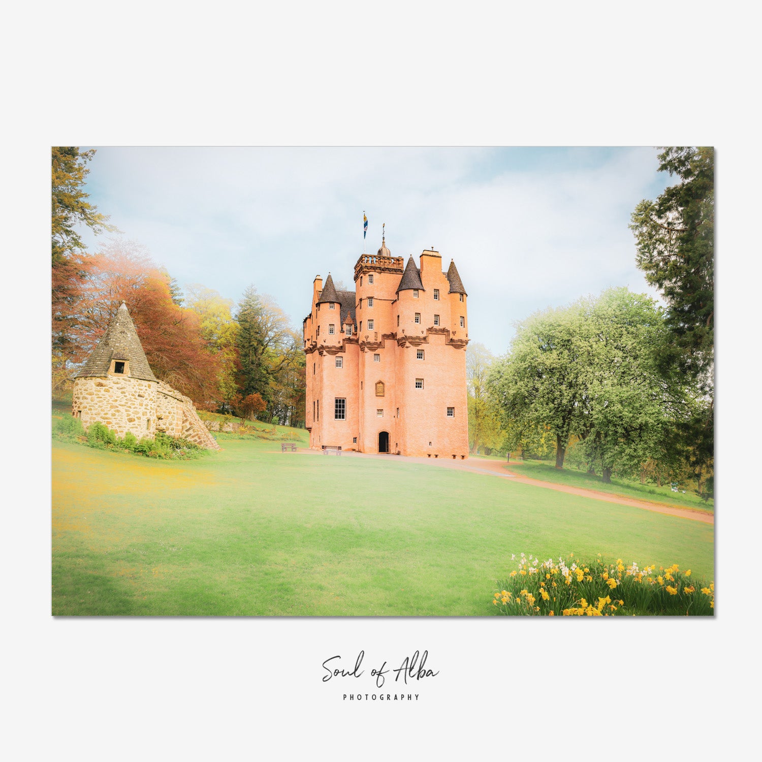 Fine art photograph of Craigievar Castle in Aberdeenshire with pink towers, spring daffodils and landscaped grounds.