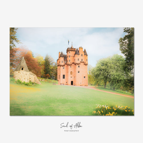 Fine art photograph of Craigievar Castle in Aberdeenshire with pink towers, spring daffodils and landscaped grounds.