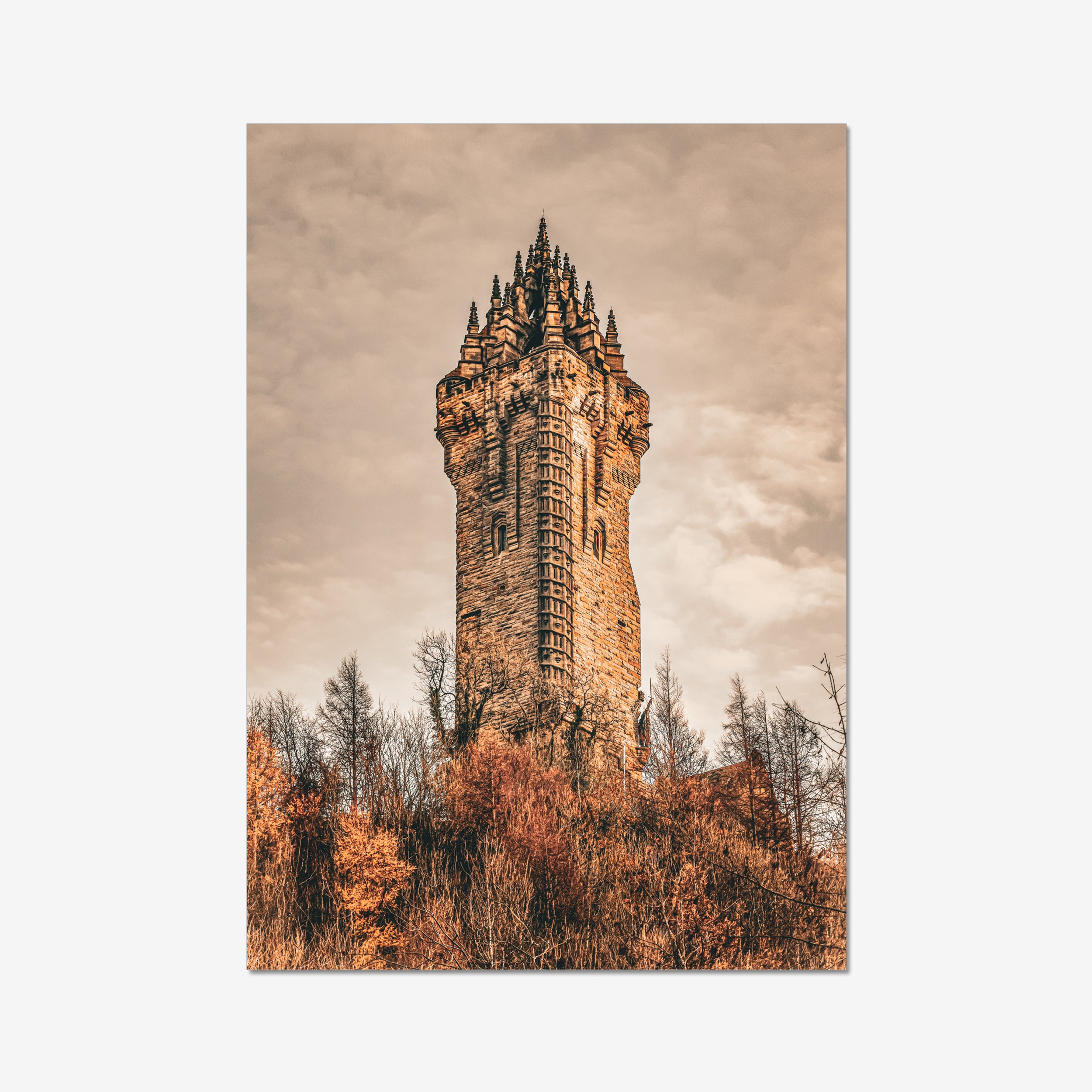 Fine art landscape photograph of the National Wallace Monument in Stirling Scotland. The historic stone tower rises majestically through golden autumn trees against a soft moody sky.