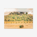 Stirling Castle fine art photography print — historic Scottish fortress wall art
